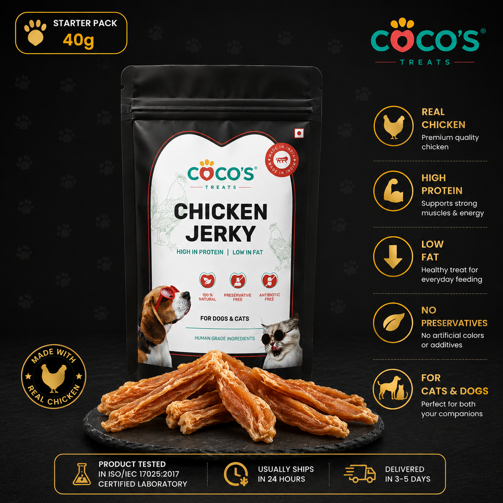 Coco's Treats Chicken Jerky package with jerky sticks on a dark background