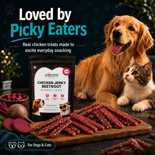 coco's chicken jerky beetroot loved picky eaters