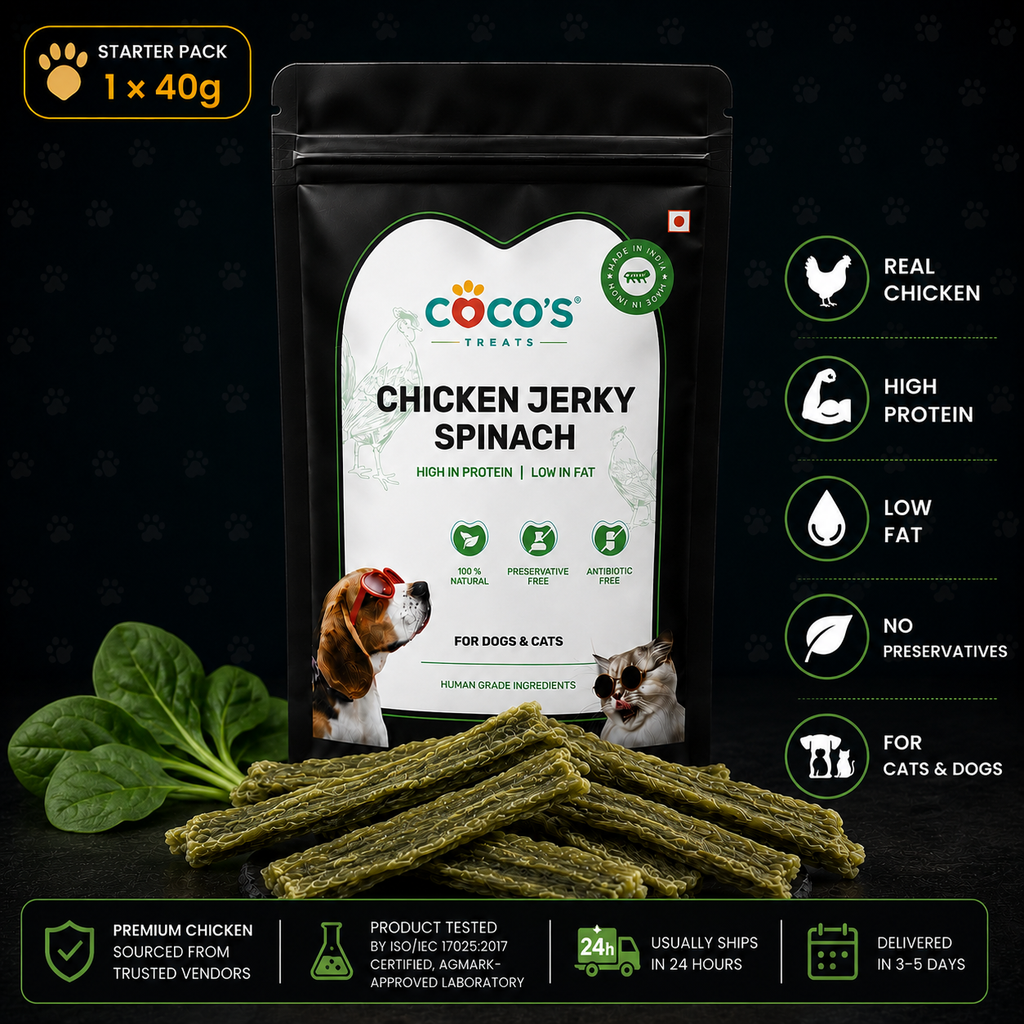 Coco's Chicken Jerky Spinach packaging with product details on a black background