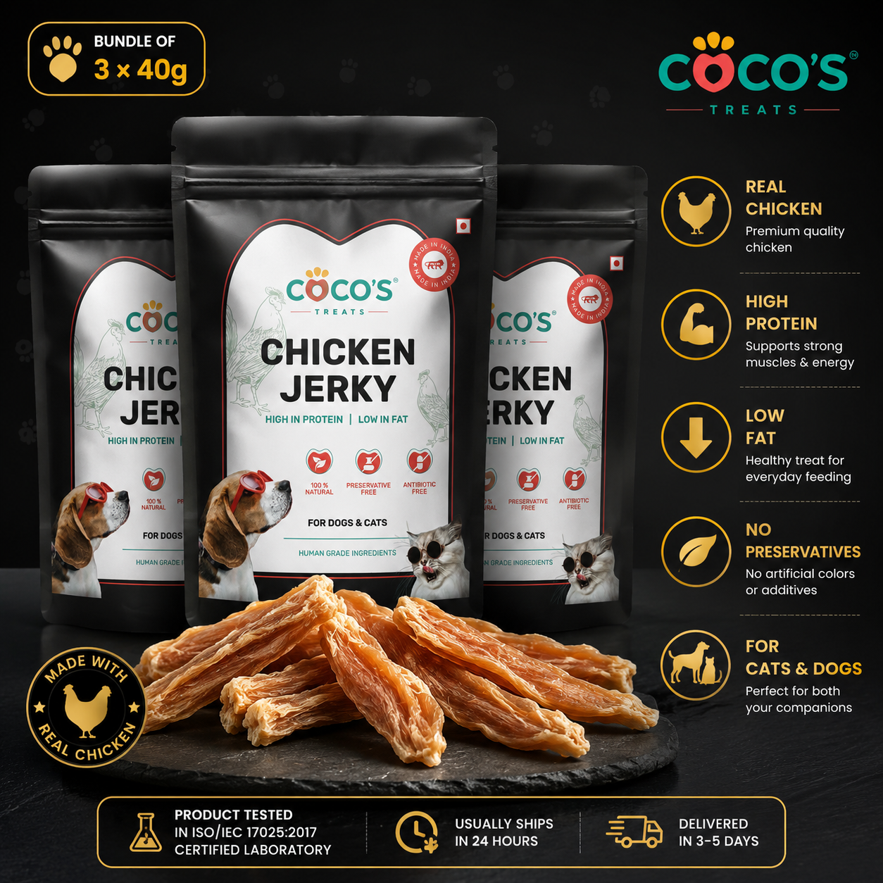COCO'S Chicken Jerky starter pack mockup – single pouch