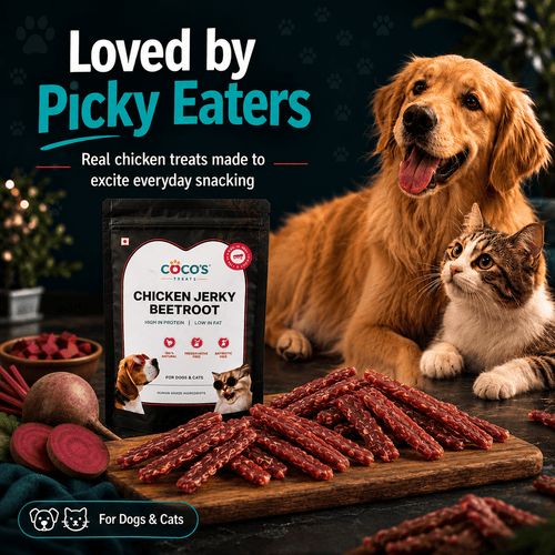 COCO'S Natural Chicken & Beetroot Jerky | Starter Pack | 1×40g-COCO'S | Natural Chicken Jerky Treats for Dogs & Cats | India