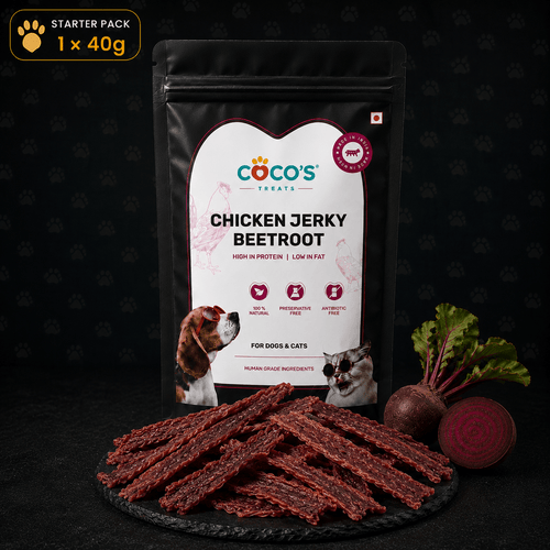 COCO'S Natural Chicken & Beetroot Jerky | Starter Pack | 1 × 40g - COCO'S | Natural Chicken Jerky Treats for Dogs & Cats