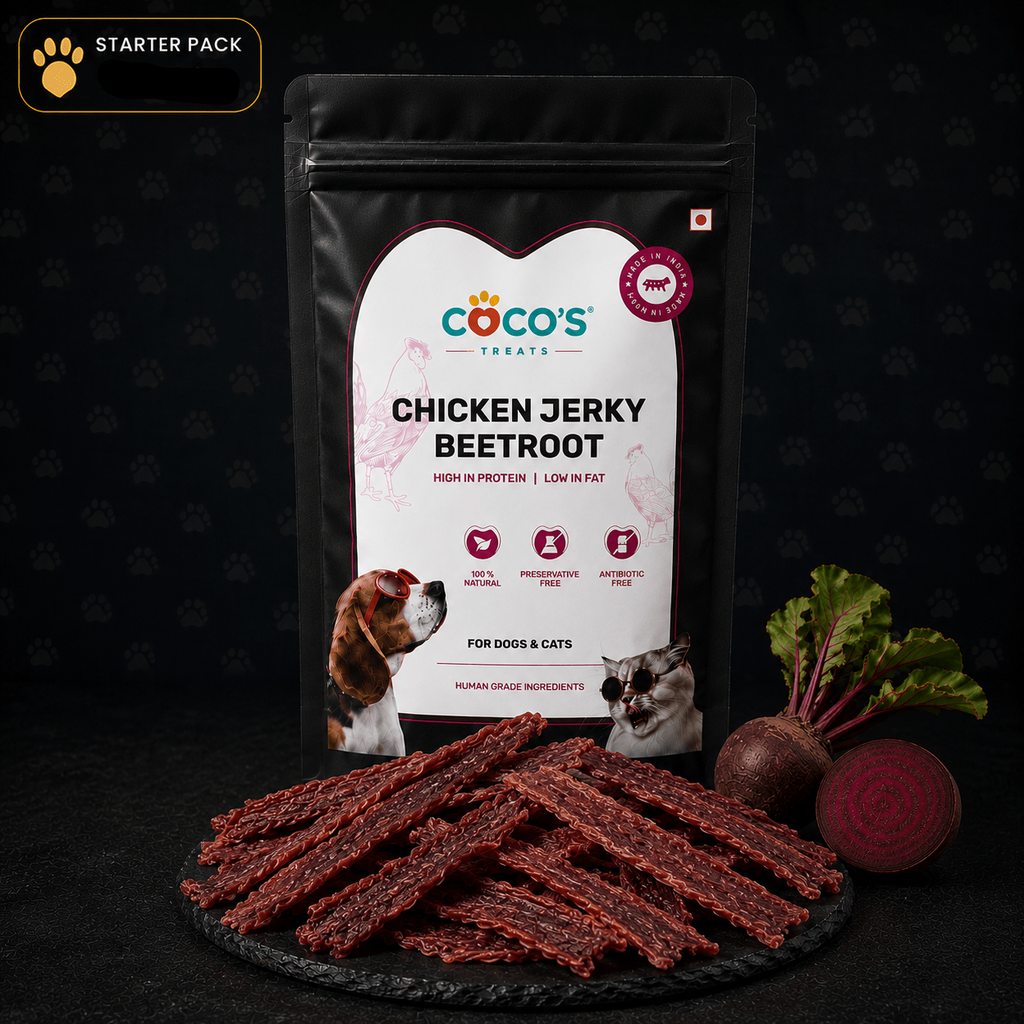 COCO'S Natural Chicken & Beetroot Jerky | Starter Pack | 1 × 80g - COCO'S | Natural Chicken Jerky Treats for Dogs & Cats