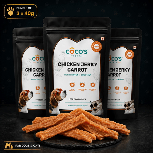 COCO'S Natural Chicken & Carrot Jerky Treats for Dogs & Cats | Bundle of 3× 40g - COCO'S |Natural Chicken Jerky Treats| India
