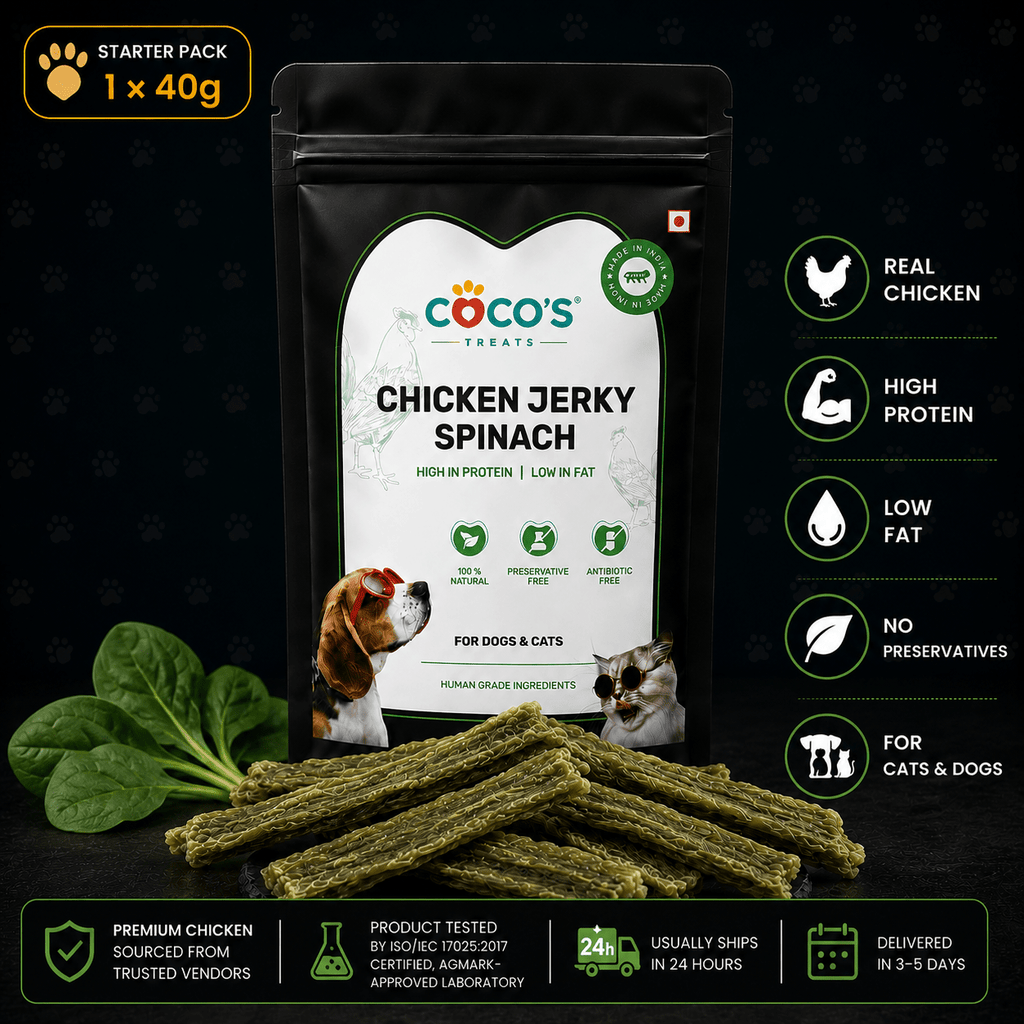 COCO'S Natural Chicken & Spinach Jerky | Starter Pack | 1 × 40g - COCO'S | Natural Chicken Jerky Treats for Dogs & Cats|India