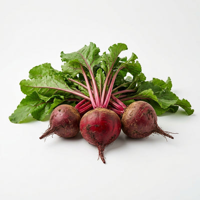 Fresh Beetroot