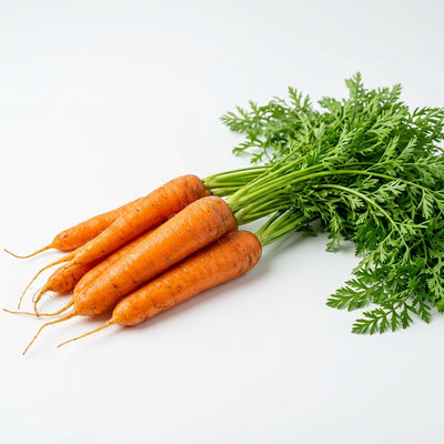 Fresh Carrots